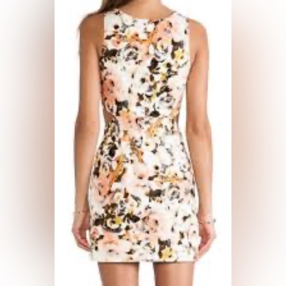 Anthropologie | Ladakh Sleeveless Rosebud Mini Dress W Waist Cutouts - Picture 8 of 8